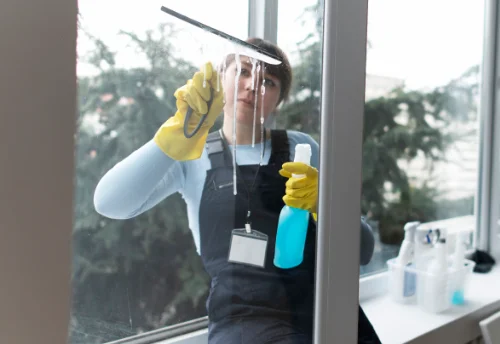 Nettoyage de vitres intérieures et extérieures à Meyras
